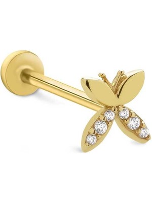 Point Kelebek Tragus