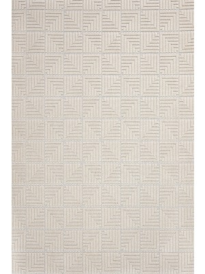 Bespoky 80x150 cm Bej Dizayn Modern Lüks Yıkanabilir Halı | Mutfak Balkon Yatak Odası Halısı | Hav Vermez Leke Tutmaz Kaymaz | LXS_DİZAYN-1062B