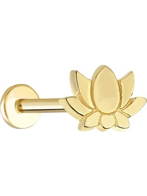 Detaylı Lotus Tragus