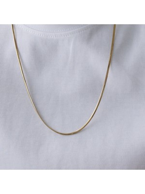 Balık Sırtı Erkek Zincir