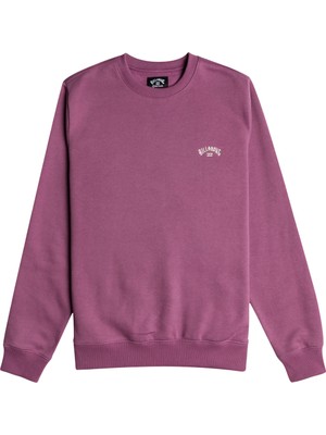 Billabong Arch Po Erkek Sweat