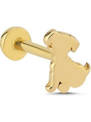 Puppy Tragus Piercing