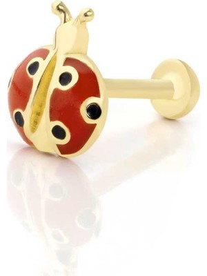 Uğur Böceği Model Tragus Piercing