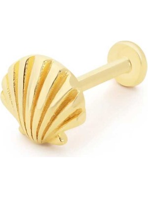 Shell Tragus Piercing