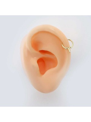 Koç Burcu Halka Helix Piercing