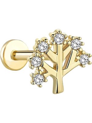 Taşlı Ağaç Tragus Piercing