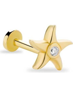 Deniz Yıldızı Tragus