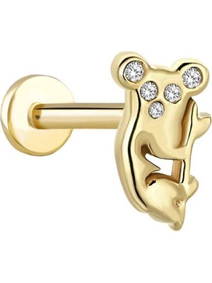 Koala Tragus Piercing