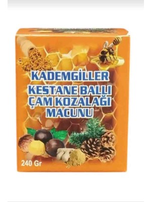 Kademgiller Kestane Ballı Çam Kozalağı Macunu 240GR