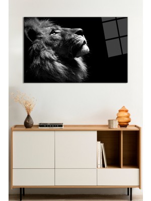 Vahşi Aslan Hayvan Portresi Cam Tablo, Darbelere Dayanıklı Kırılmaz Cam, Hediyelik