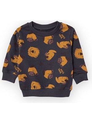 Hellobaby Köpek Desenli Sweatshirt Erkek Bebek