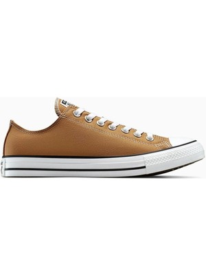 Converse Chuck Taylor All Star Seasonal Colour Low Top Incensed Kadın Günlük Spor Ayakkabı