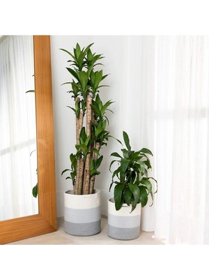 Ikili Dekoratif Jüt Saplı Hasır Sepet Saksı 30 cm ve 25 cm , Dekoratif Saksı ve Havluluk