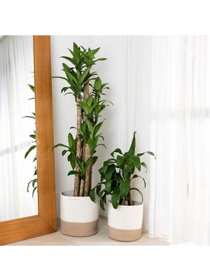 Ikili Dekoratif Jüt Saplı Hasır Sepet Saksı 30 cm ve 25 cm , Dekoratif Saksı ve Havluluk