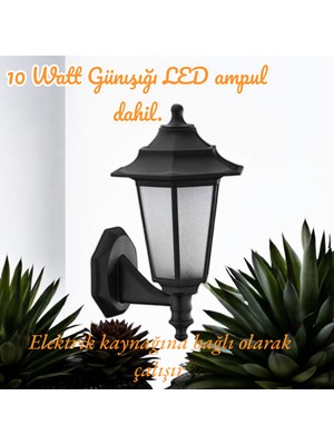 10 W. Günışığı LED Ampullü, Dekoratif Bahçe, Balkon, Teras, Kapı Giriş Apliği, Bahçe Duvar Armatürü