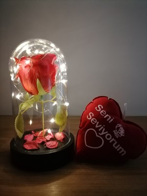 Kırmızı Gül Seni Seviyorum Yastık Işıklı Fanus Sevgiliye Anneler Gününe Özel Canım