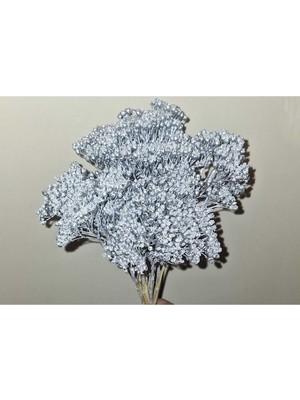 Civan Perçemi Gümüş Rengi 10 Dal (Kuru Çiçek)