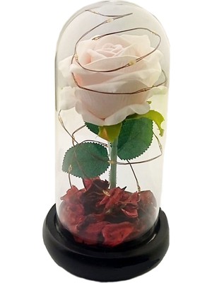 Romantik Sevgililer Temalı Işıklı Gül Fanus