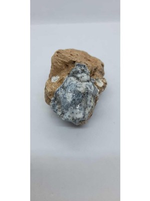 Dentritli Opal Koleksiyonluk Doğaltaş