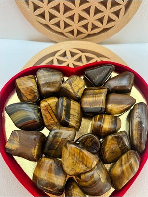 Kaplangözü Doğaltaş Cesaret Taşı Tamburlanmış