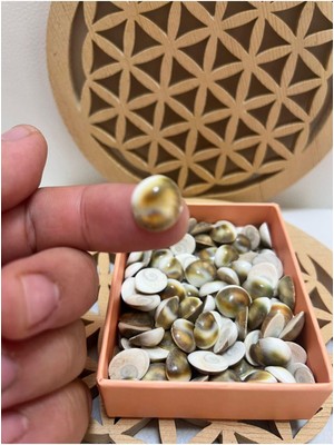 Yılancık Taşı 3 Adet