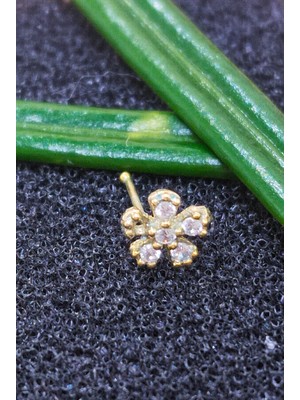 gümüş hızma  ve şık tasarım