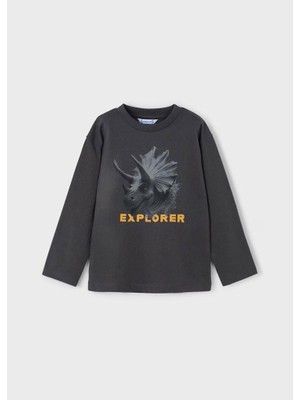 Erkek T Shirt 25KMYR4090