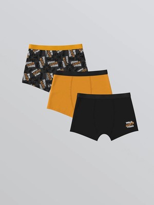 Lcw  Baskılı Erkek Çocuk Boxer 3'lü  (W5)