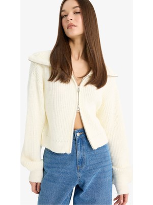 DeFacto Slim Fit Dar Kesim Polo Yaka Fermuarlı Triko Hırka A3333AX25WN