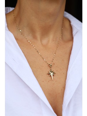 14 Ayar Altın Aynalı Zincirli Bombeli Yuvarlak Kenar Detaylı Kutup Yıldızı Kolye-3