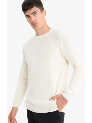 DeFacto Standart Fit Bisiklet Yaka Triko Kazak A8458AX25WN