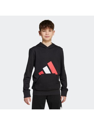Adidas Sportswear JY0301 Essentials Hoodie Kids