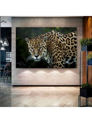 At Duvar Sanatı, Yağmurda Koşan Atlar, Yaratıcı Duvar Sanatı, Yaban Hayvanları Tablosu