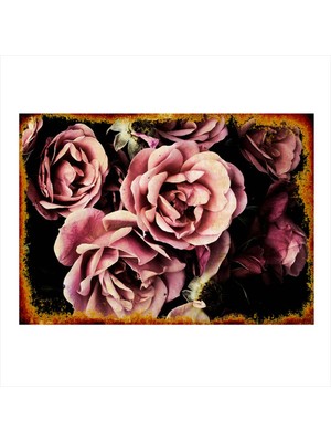 Bedeko Pembe Güller Mdf Poster 50 cm x 70 cm