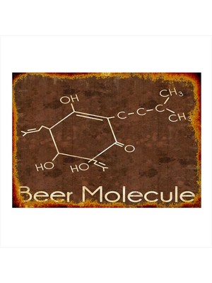 Bedeko Bira Molekül
 Tasarım Ahşap Tablo 50 cm x 70 cm