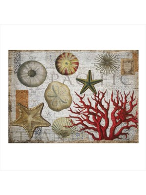 Bedeko Deniz Canlıları Mdf Poster 50 cm x 70 cm