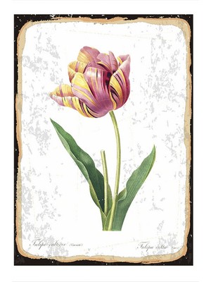 Bedeko Pembe Çiçek Dekoratif Ahşap Tablo