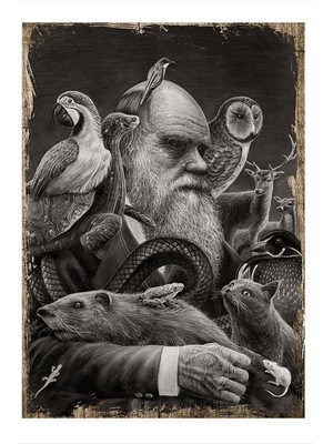 Bedeko Ahşap Tablo Charles Darwin ve Teorisi
