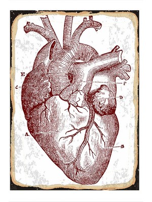 Bedeko Kalp Art Mdf Tablo 35 cm x 50 cm