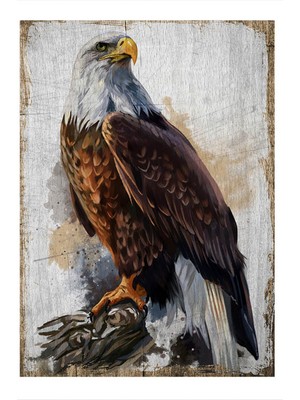 Bedeko Ahşap Tablo 35 cm x 50 cm Beyaz Başlı Kara Kartal