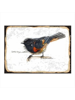 Bedeko Sevimli Kuş Dekoratif Ahşap Tablo 35 cm x 50 cm
