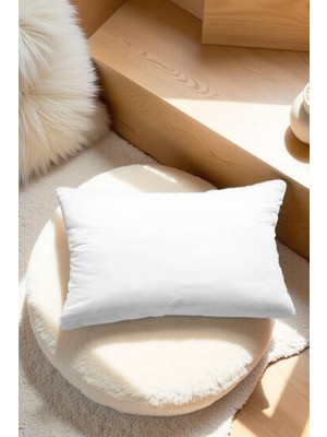 Dekoratif Vakumlu Kırlent Içi 40X60CM 550 gr