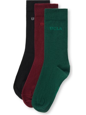 Ucla Sılvıus 3'Lü Siyah Bordo Yeşil Uzun Jakarlı Standard Fit Unisex Çorap