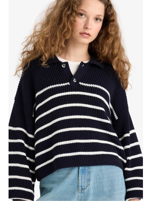 DeFacto Relax Fit Polo Yaka Düğmeli Çizgili Triko Kazak C4918AX25WN