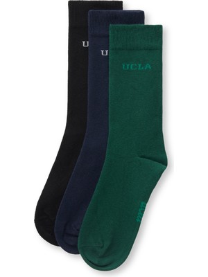 Sılvıus 3'lü Siyah Lacivert Yeşil Uzun Jakarlı Standard Fit Unisex Çorap