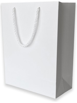 ABB Matbaa 50 Adet Beyaz Karton İpli Çanta (20.5X25.5X10)