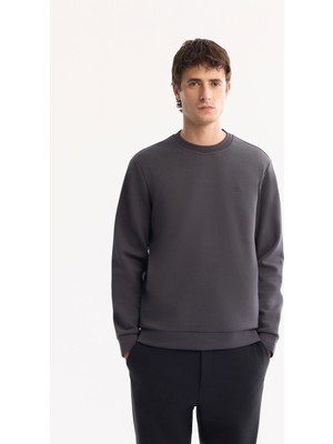 AVVA Erkek Antrasit Bisiklet Yaka Pamuklu Bi-Stretch Regular Fit Sweatshirt A52Y1271