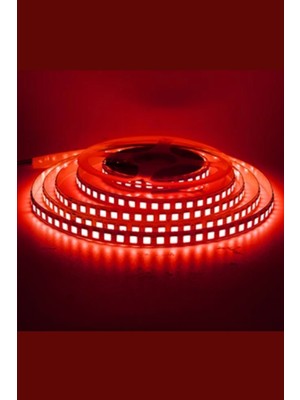 12 Volt 5050 Dış Mekan Şerit LED 3 Çipli Kırmızı Metrede 60 LED IP65 (5 Metre)
