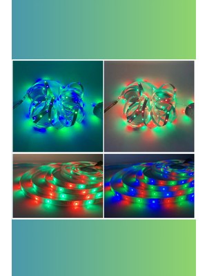12 Volt 5050 Dış Mekan Şerit LED 3 Çipli Rgb Metrede 60 LED IP65 (5 Metre)