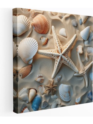 Popcas Deniz Kabuğu Fotoğraf Duvar Sanatı - Plaj Kumlu Plaj Deniz Kabukları Deniz Kabuğu Fotoğraf Duvar Sanatı